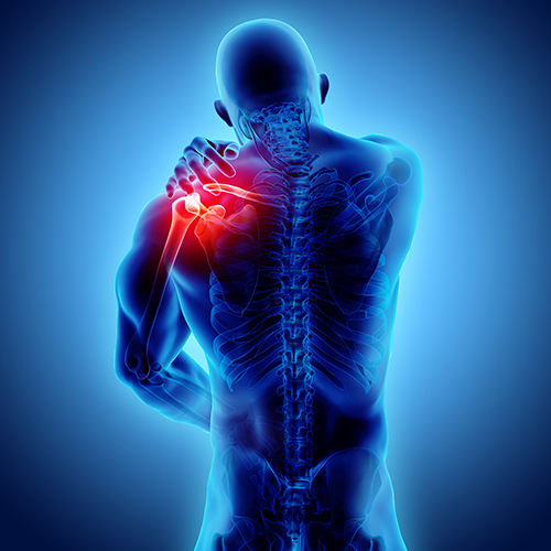 Orthopedic Specialists | Specialty | Shoulder